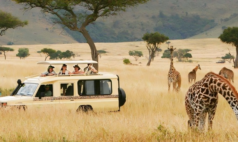 Family‑Friendly Safaris in East Africa