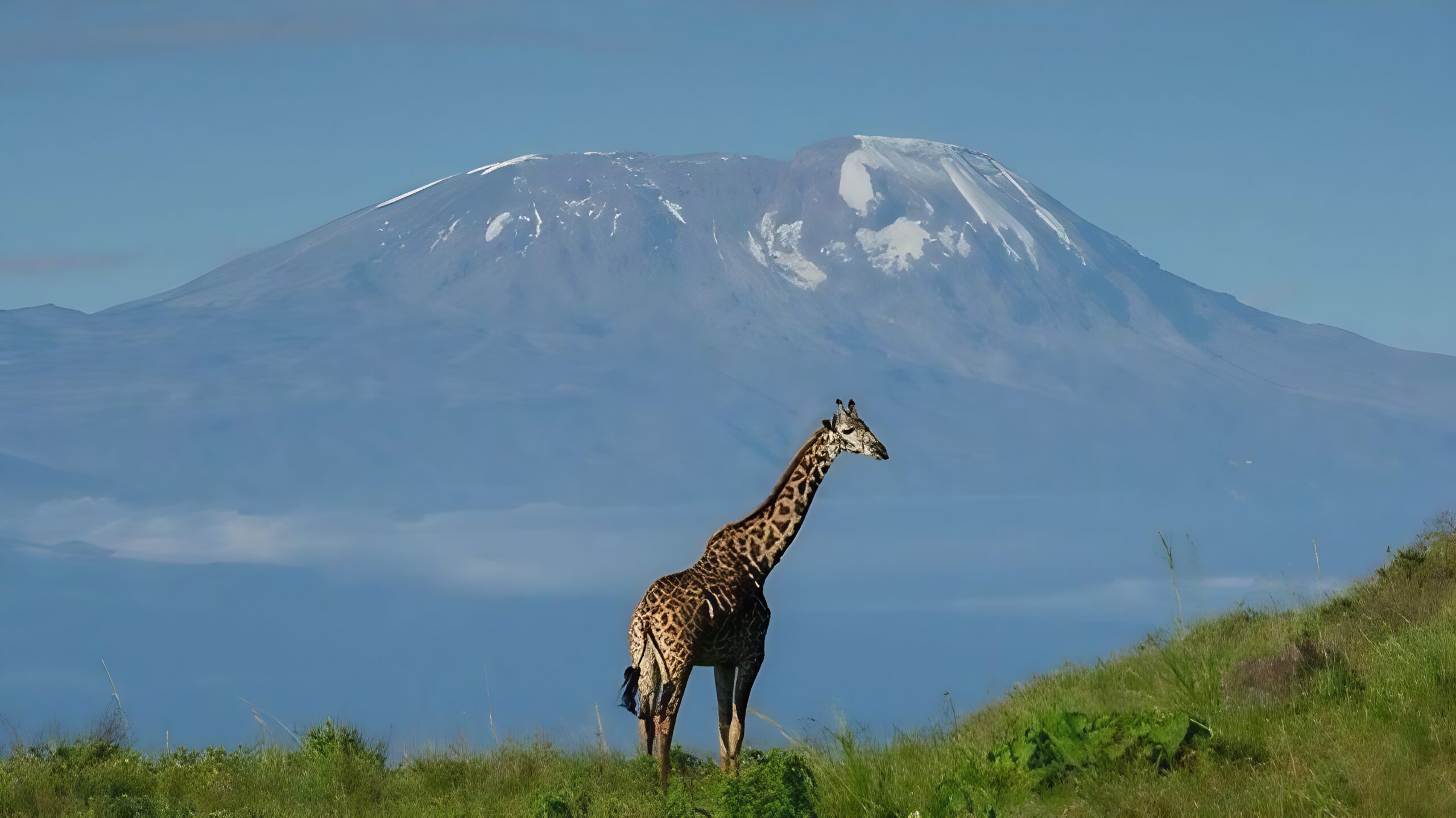 Arusha national park