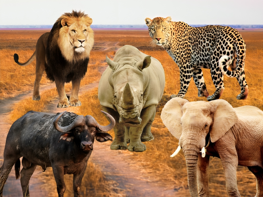 The Big Five