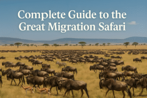 complete guide to the great migration safari