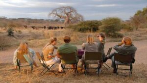 Family‑Friendly Safaris in East Africa