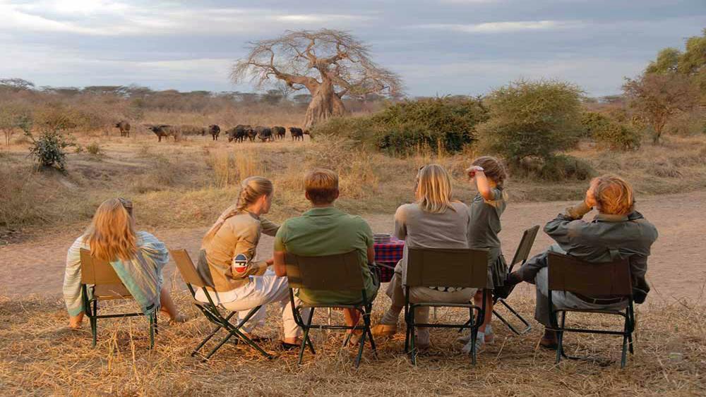Family‑Friendly Safaris in East Africa