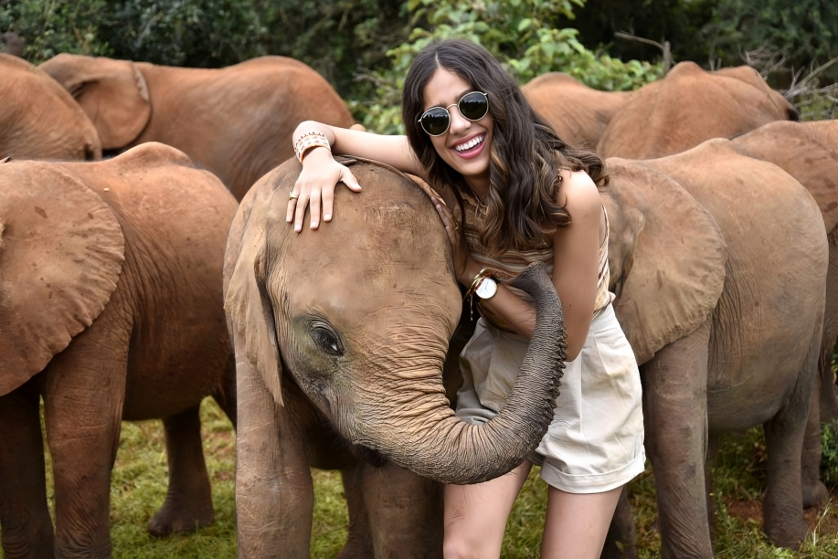 Elephant orphanage