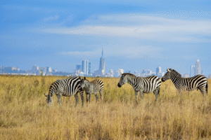 7 Best Short Safaris from Nairobi You Can Enjoy in Just One Day
