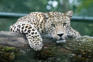 Top 10 Tourist Spots in Africa