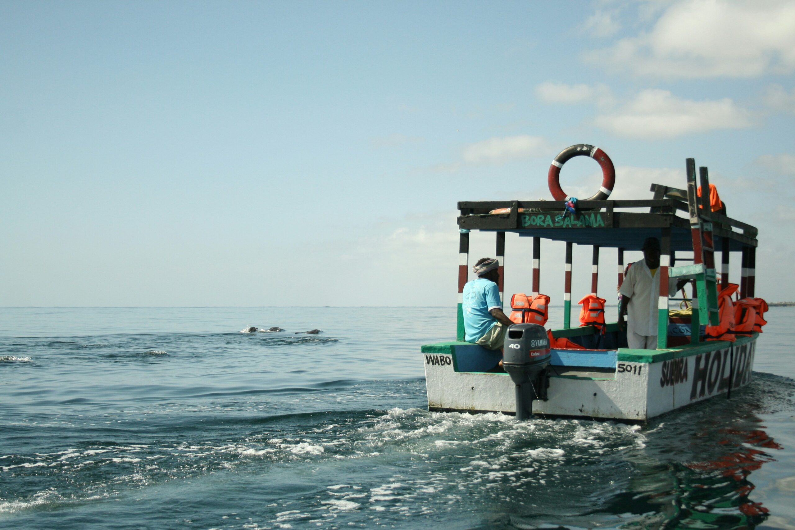 Half-day Dolphins & Snorkeling Tour in Watamu