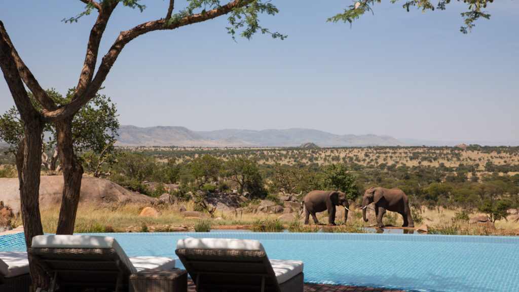 Luxury Safari Experiences in Serengeti
