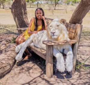 multi-country African safari itineraries