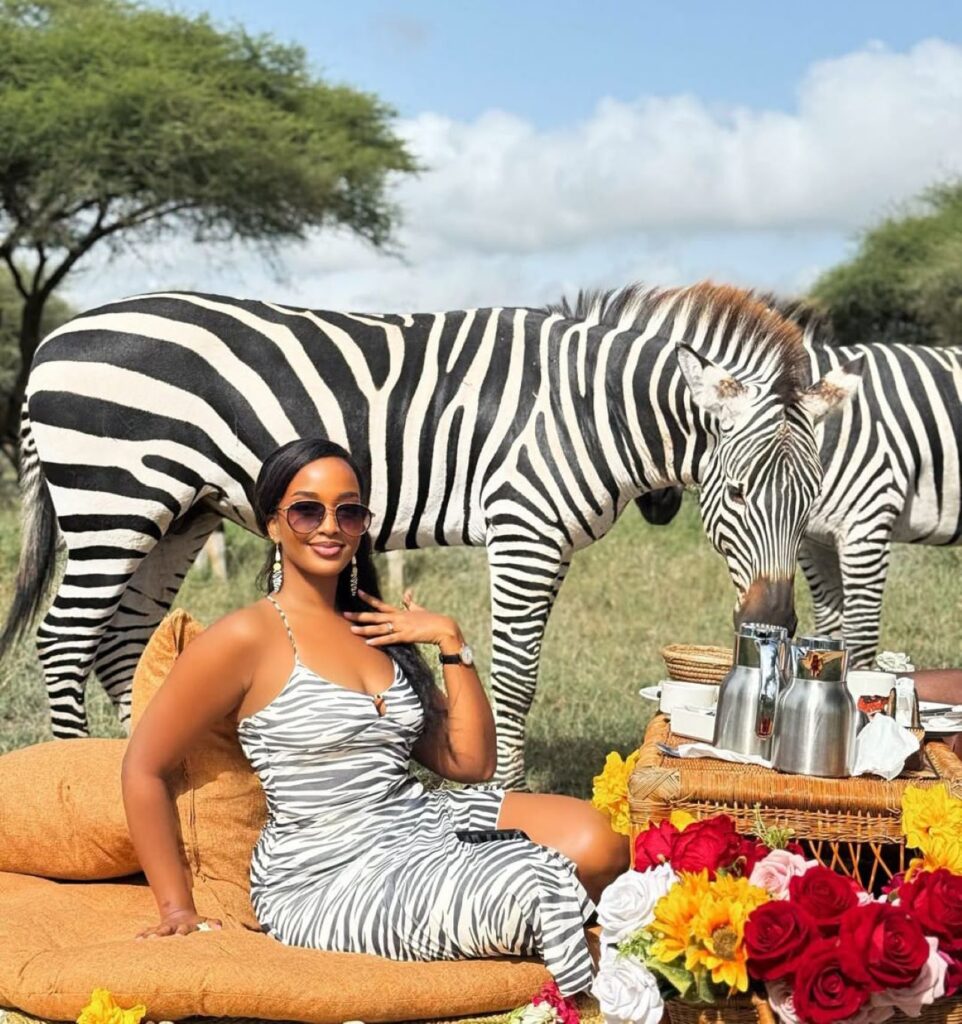 budget vs luxury safari