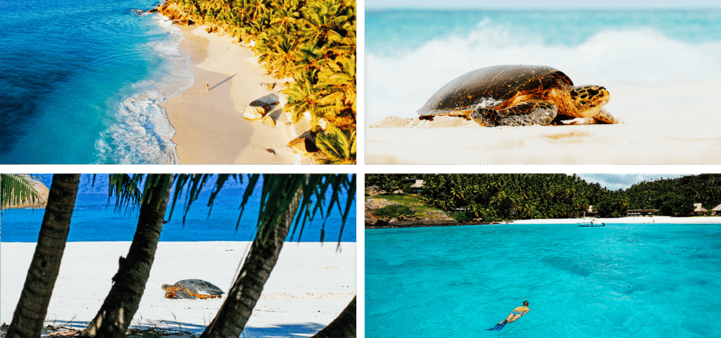 Travel to Africa 2025