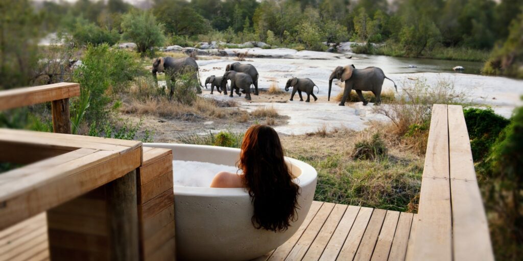 Top safari lodges in South Africa