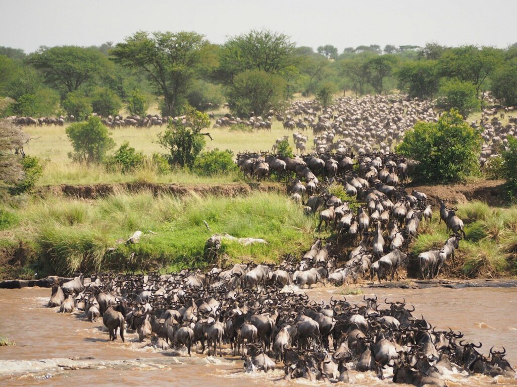 7-day Tanzania Big Five safari from Nairobi