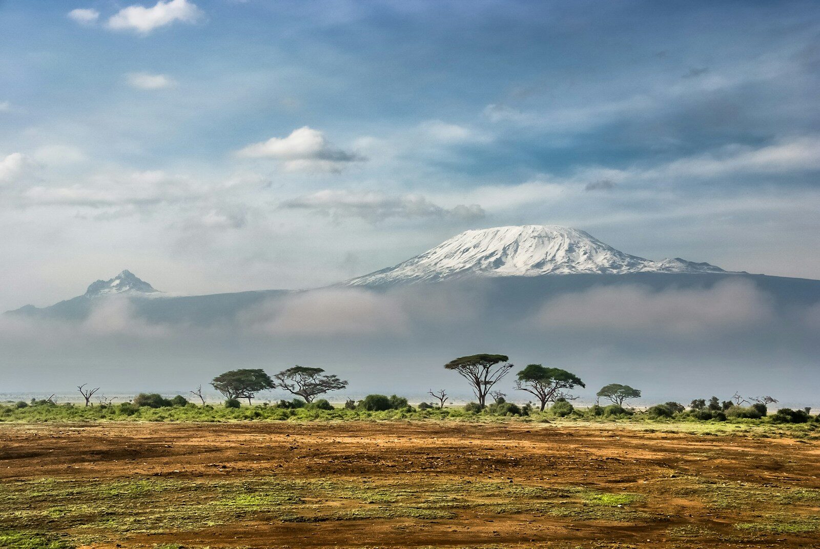 Mount Kilimanjaro with a snow-capped peak above clouds in Amboseli National Park